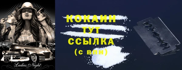 твердый Алексин