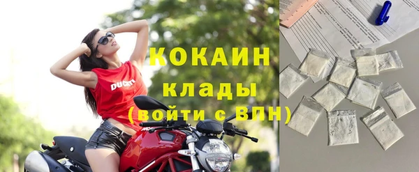 твердый Алексин