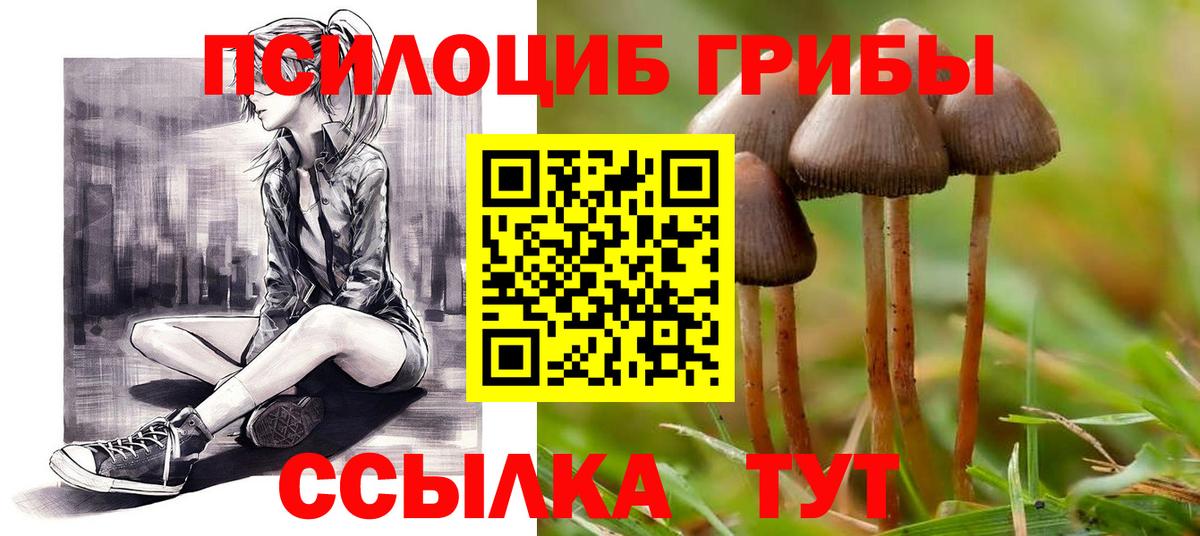 Галлюциногенные грибы MAGIC MUSHROOMS  Вход с VPN  Осинники  Галлюциногенные грибы GOLDEN TEACHER 