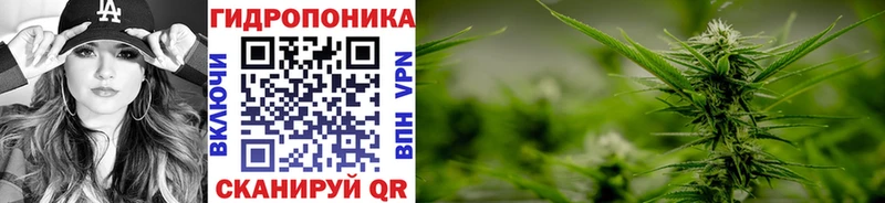 купить  сайты  Осинники  блэк спрут как войти  Шишки марихуана LSD WEED 